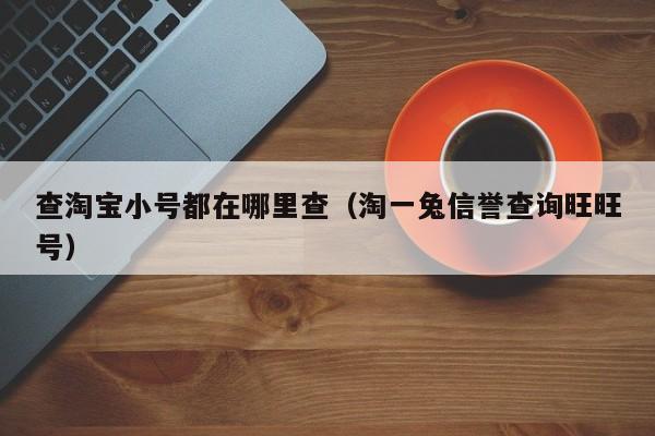 查淘宝小号都在哪里查（淘一兔信誉查询旺旺号）