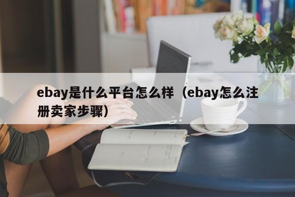 ebay是什么平台怎么样（ebay怎么注册卖家步骤）