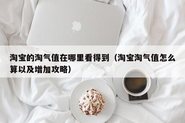 淘宝的淘气值在哪里看得到（淘宝淘气值怎么算以及增加攻略）