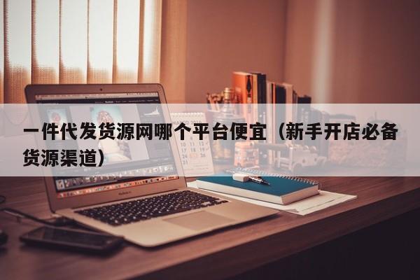 一件代发货源网哪个平台便宜（新手开店必备货源渠道）