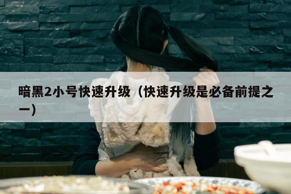 暗黑2小号快速升级（快速升级是必备前提之一）