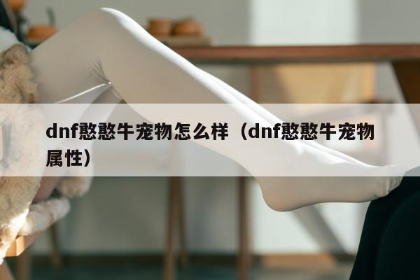dnf憨憨牛宠物怎么样（dnf憨憨牛宠物属性）